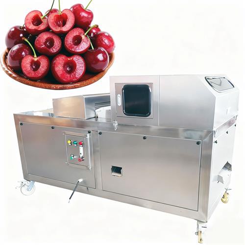 Industrial Cherry Pitter Machine